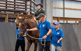 Image result for Riding For The Disabled