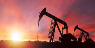 Image result for oil%