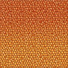 Image result for reptile scales