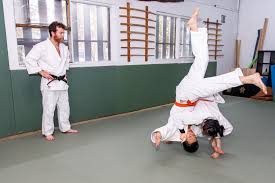 Image result for Melbourne Judo Club