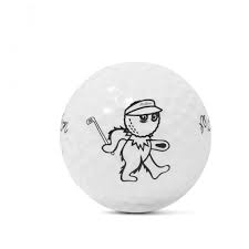 Image result for Balcombe Stoolball Club