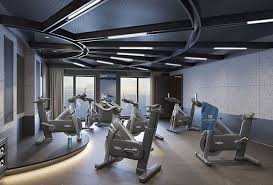 Image result for Pulse 220 Fitness Centre