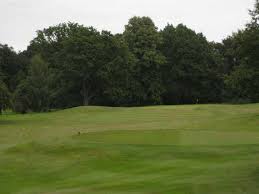 Image result for Vale Royal Abbey Golf Club