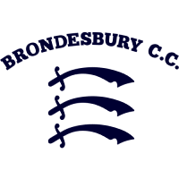 Image result for Bronwydd Cricket Club