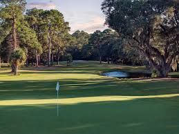 Image result for Dolphina Gc