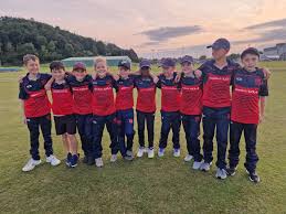 Image result for Carmarthen Wanderers Cricket Club