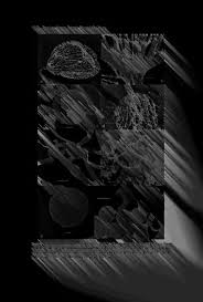 Attēlu rezultāti vaicājumam “Cribraria piriformis stalked”