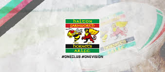 Image result for Halton Farnworth Hornets Rugby League Football Club