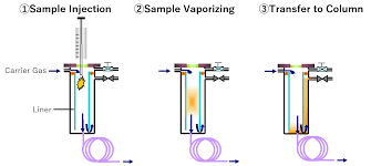 Image result for Splitz Gc