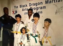 Image result for Dragon Martial Arts Association