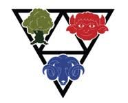 Image result for Stamford Rugby Union Football Club Ltd