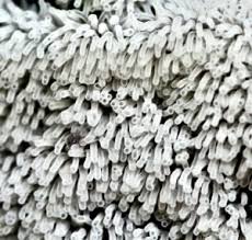 Attēlu rezultāti vaicājumam “Ceratiomyxa fruticulosa”