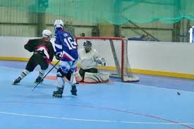 Image result for Dundee Ducks inline roller hockey club