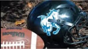 Image result for Manor Colts Youth Football Club