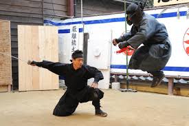 Image result for Hertfordshire Iga Ryu Ninjutsu