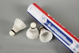 Image result for Lings Badminton Club