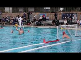 Image result for York University Swimming & Water Polo Club