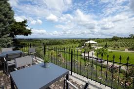 Image result for Netts