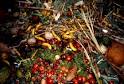 Composting Food Wastes: Education and Technical Assistance for ...