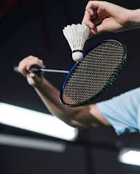 Image result for Doncaster Badminton
