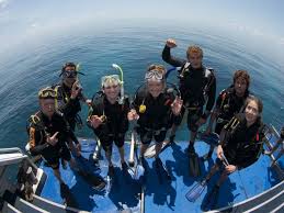 Image result for Seaquest Divers