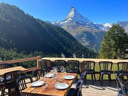 Image result for Enzian