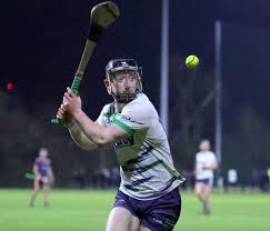 Image result for University Of Limerick Gaa Hurling Club