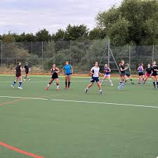 Image result for Wallingford Hockey Club