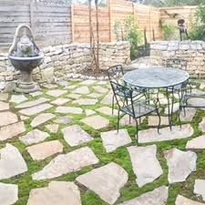 Attēlu rezultāti vaicājumam “Bryum caespiticium sporophyte”