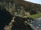 By the Falls of Taff in Glen - via Daymix