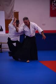 Image result for Aikido - Shobu UK (Newton in furness)