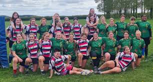 Image result for WOODRUSH RFC MINI and JUNIOR ~ & Senior