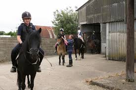 Image result for South Weylands Equestrian
