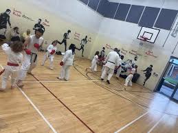Image result for middlesbrough karate academy