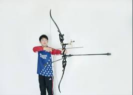 Image result for Severn Archers Archery Club