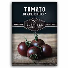Afbeeldingsresultaat voor black cherry tomato