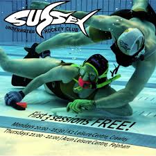 Image result for Brighton Octopush Club