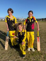 Image result for Torquay Cricket Club