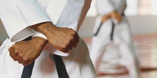 Image result for Burnham Karate Club
