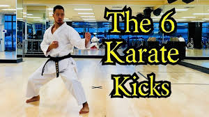 Image result for Shotokan Karate