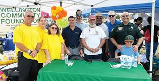 Image result for Wellington Whirlwinds Tc