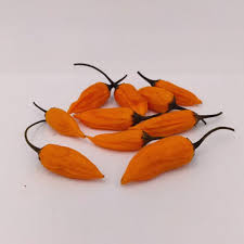 Afbeeldingsresultaat voor aji habanero hot pepper