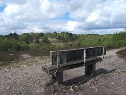 Image result for Yateley and Hawley Bridge Club