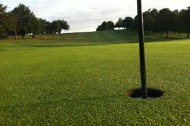 Image result for Mickleover Gc
