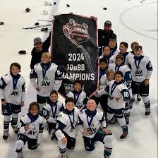 Image result for Ash Avalanche Skater Hockey Club