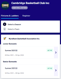 Image result for Cambridge Cats Basketball Club