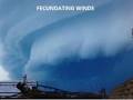 FECUNDATING WINDS - THE ISLAM SHOW