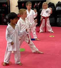 Image result for Colchester Wado Ryu Karate