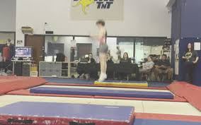 Image result for Fish trampoline and gymnastics club