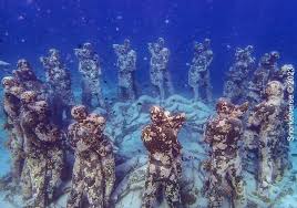 Image result for East Snorkellers
